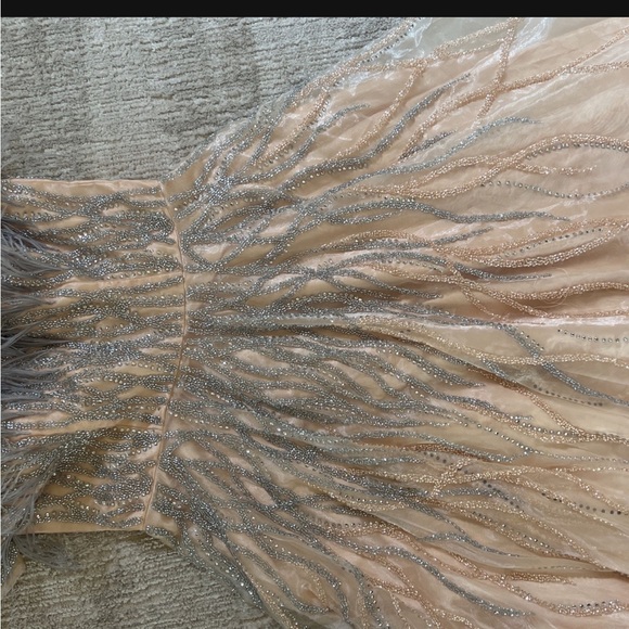 Embellished feather midi dress - Picture 4 of 5